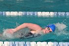 Swimming vs Babson  Wheaton College Swimming & Diving vs Babson College. - Photo By: KEITH NORDSTROM : Wheaton, Swimming